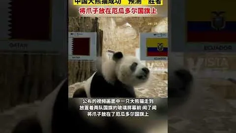 皇家社会击败比利亚雷亚尔夺冠